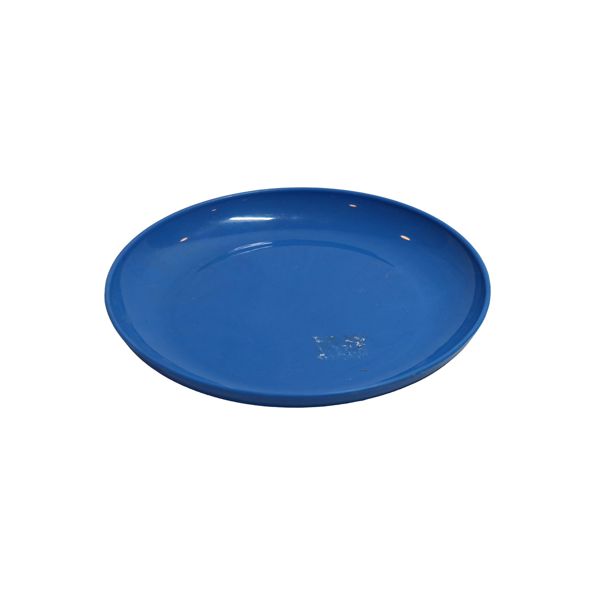 Plastic Food Plate, image 1