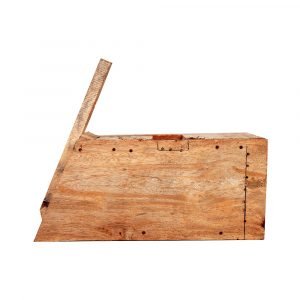 Wood-Eli-Koondu-01